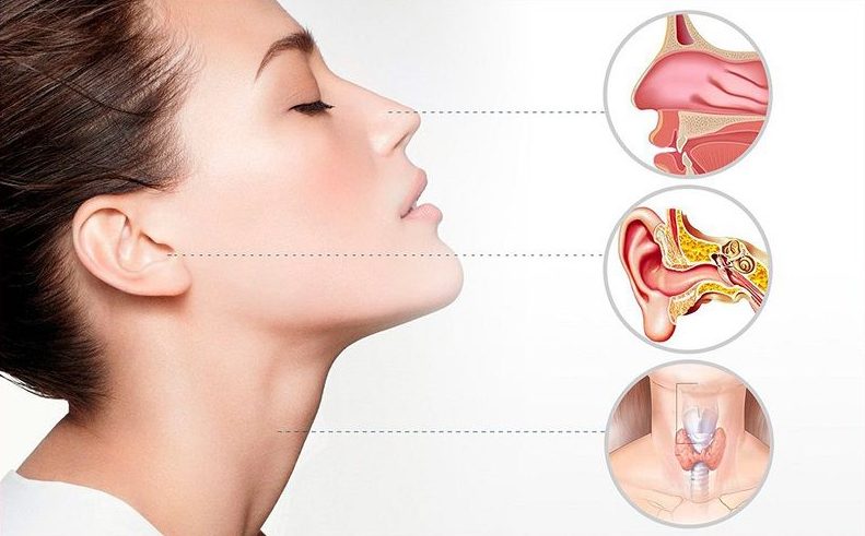 ENT (Otolaryngology)